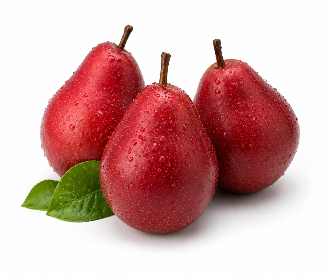 Red d'Anjou